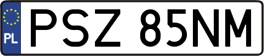 PSZ85NM
