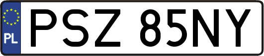 PSZ85NY