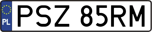 PSZ85RM