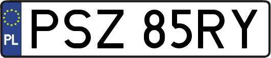 PSZ85RY
