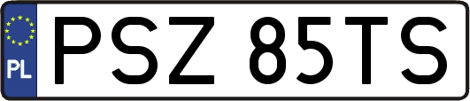 PSZ85TS