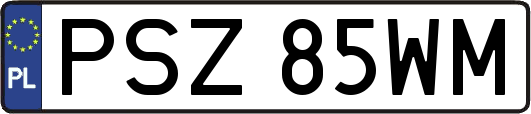 PSZ85WM