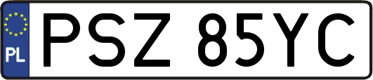 PSZ85YC