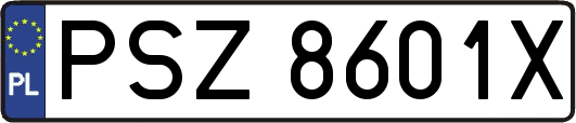 PSZ8601X