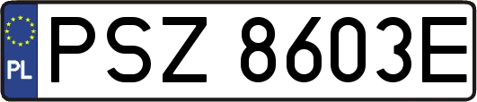 PSZ8603E