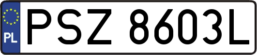 PSZ8603L
