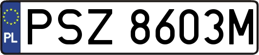 PSZ8603M