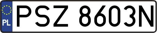 PSZ8603N