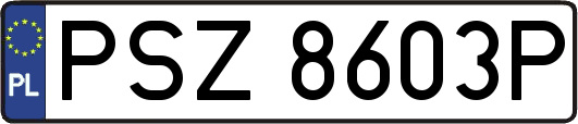 PSZ8603P