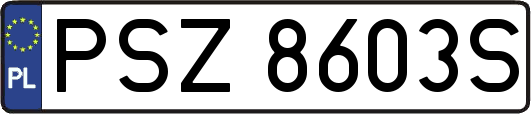 PSZ8603S