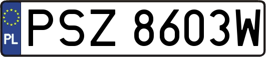 PSZ8603W