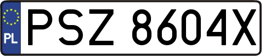 PSZ8604X