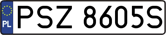 PSZ8605S