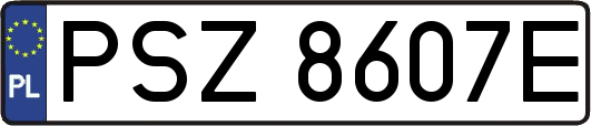PSZ8607E