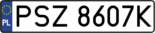 PSZ8607K