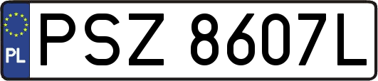 PSZ8607L