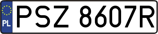 PSZ8607R