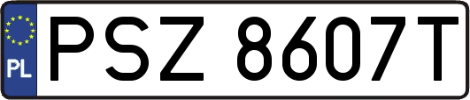 PSZ8607T