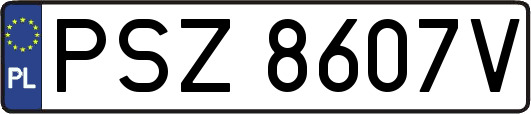 PSZ8607V