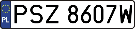 PSZ8607W