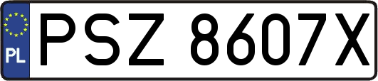 PSZ8607X