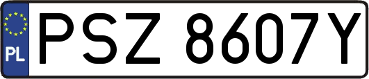 PSZ8607Y