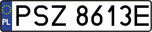 PSZ8613E