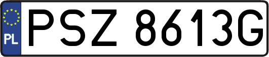 PSZ8613G