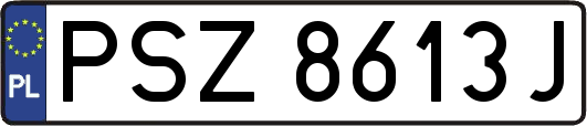 PSZ8613J