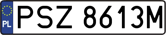 PSZ8613M