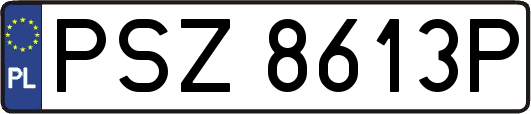 PSZ8613P