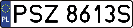 PSZ8613S