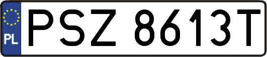 PSZ8613T