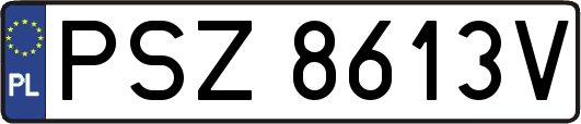 PSZ8613V