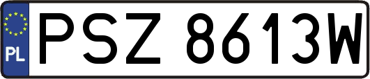 PSZ8613W