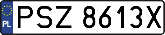 PSZ8613X