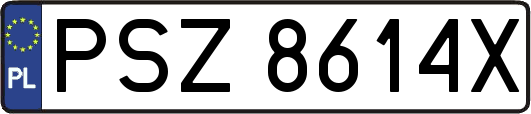 PSZ8614X