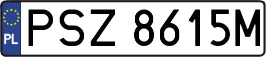 PSZ8615M
