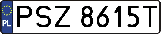 PSZ8615T