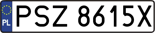 PSZ8615X