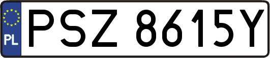 PSZ8615Y