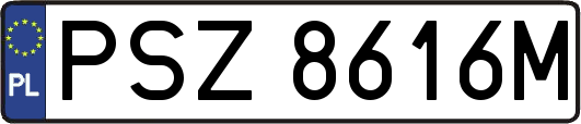 PSZ8616M