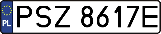 PSZ8617E