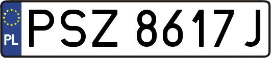 PSZ8617J