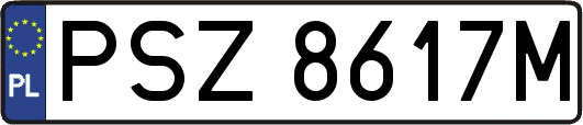 PSZ8617M