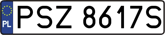 PSZ8617S