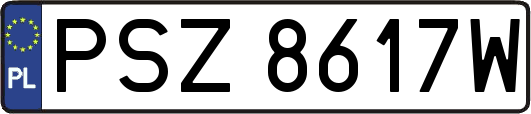PSZ8617W
