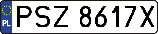 PSZ8617X