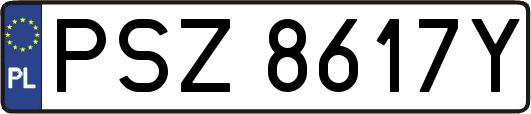 PSZ8617Y