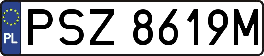 PSZ8619M